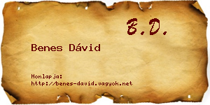 Benes Dávid névjegykártya